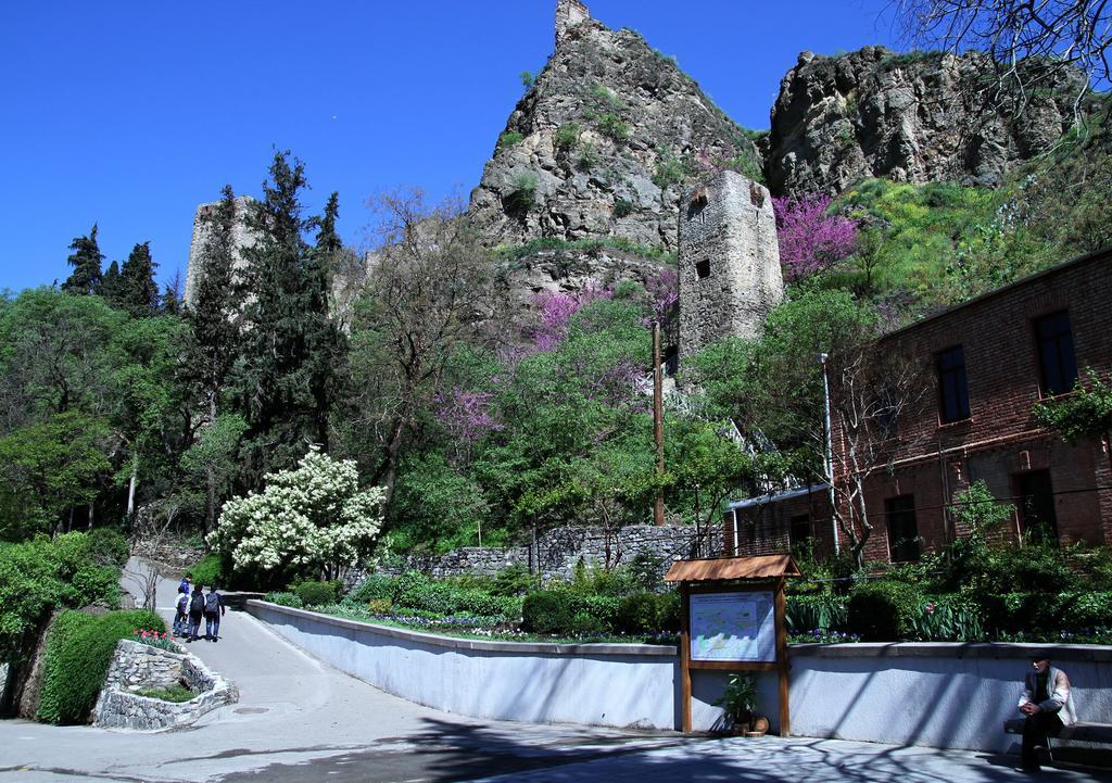 Tbilisi Apartment Стая снимка